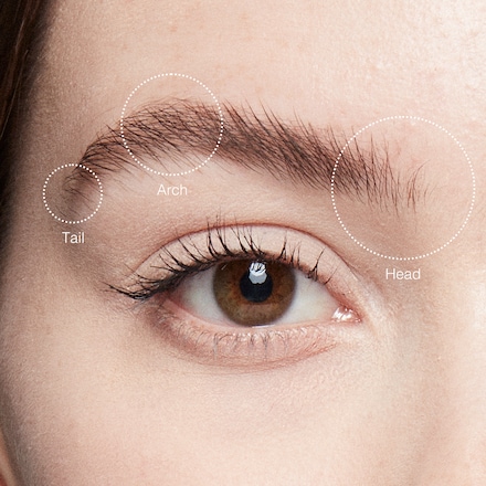 Classic Brown Brow Kit